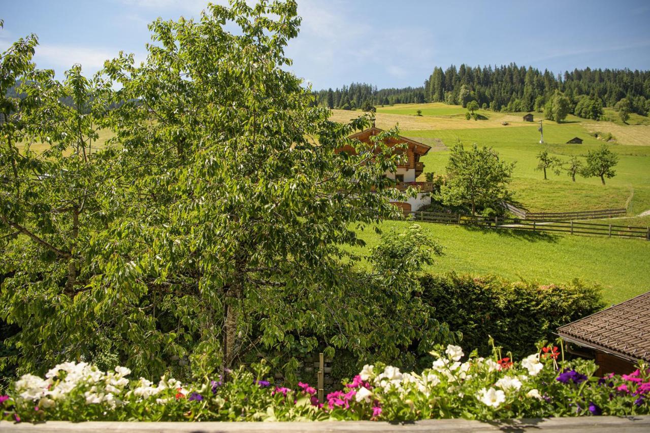 Alpen-nest Apartment Grossarl