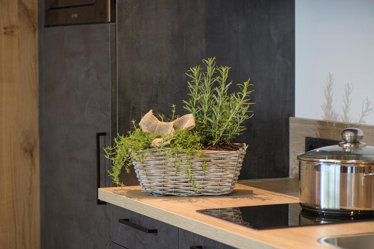 Alpen-nest Apartment